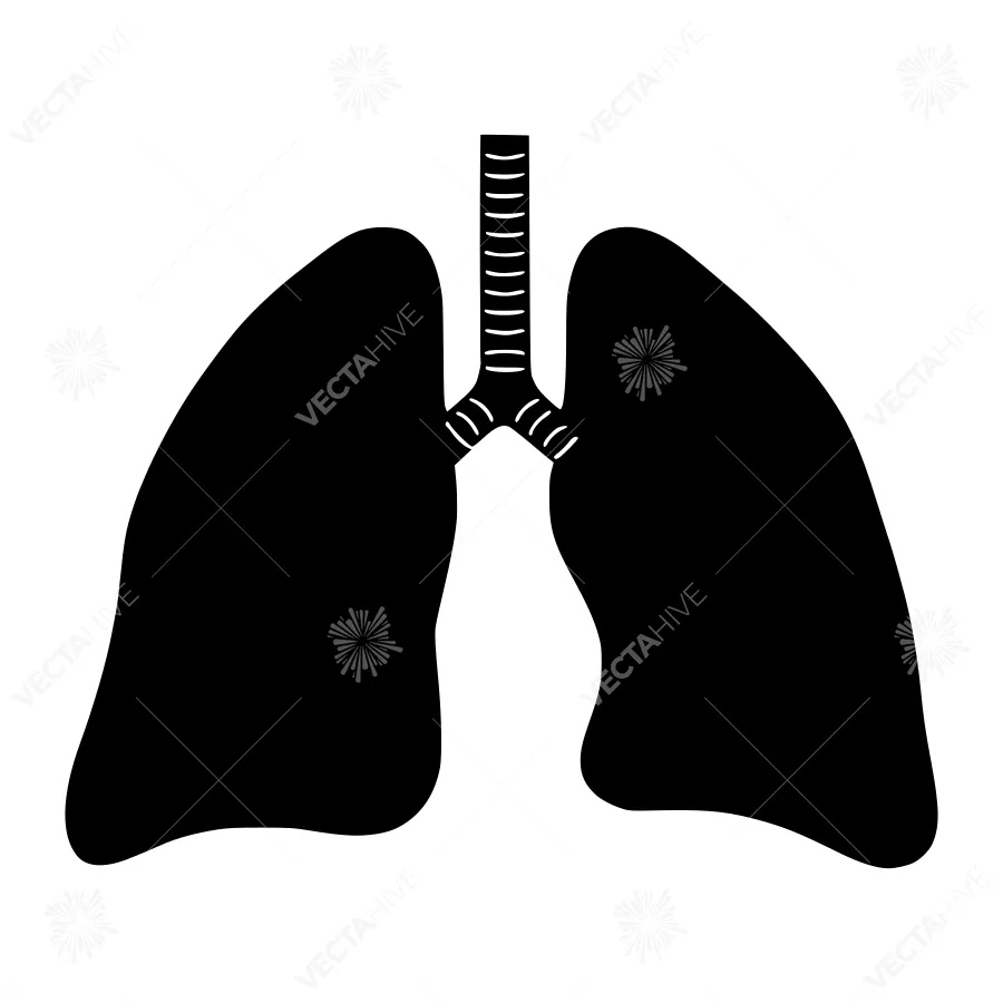 Lungs Silhouette Icon - Medical Illustration