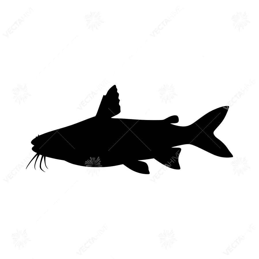 Catfish Silhouette Vector Illustration
