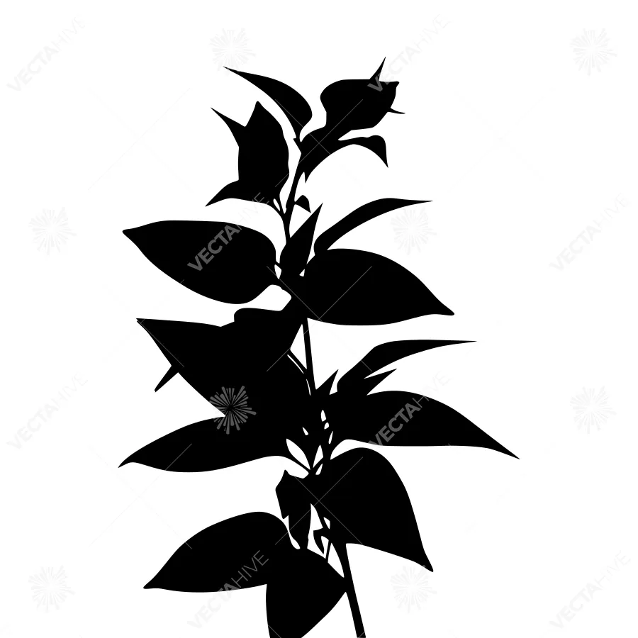 Black Silhouette Flower Branch - Minimalist Design