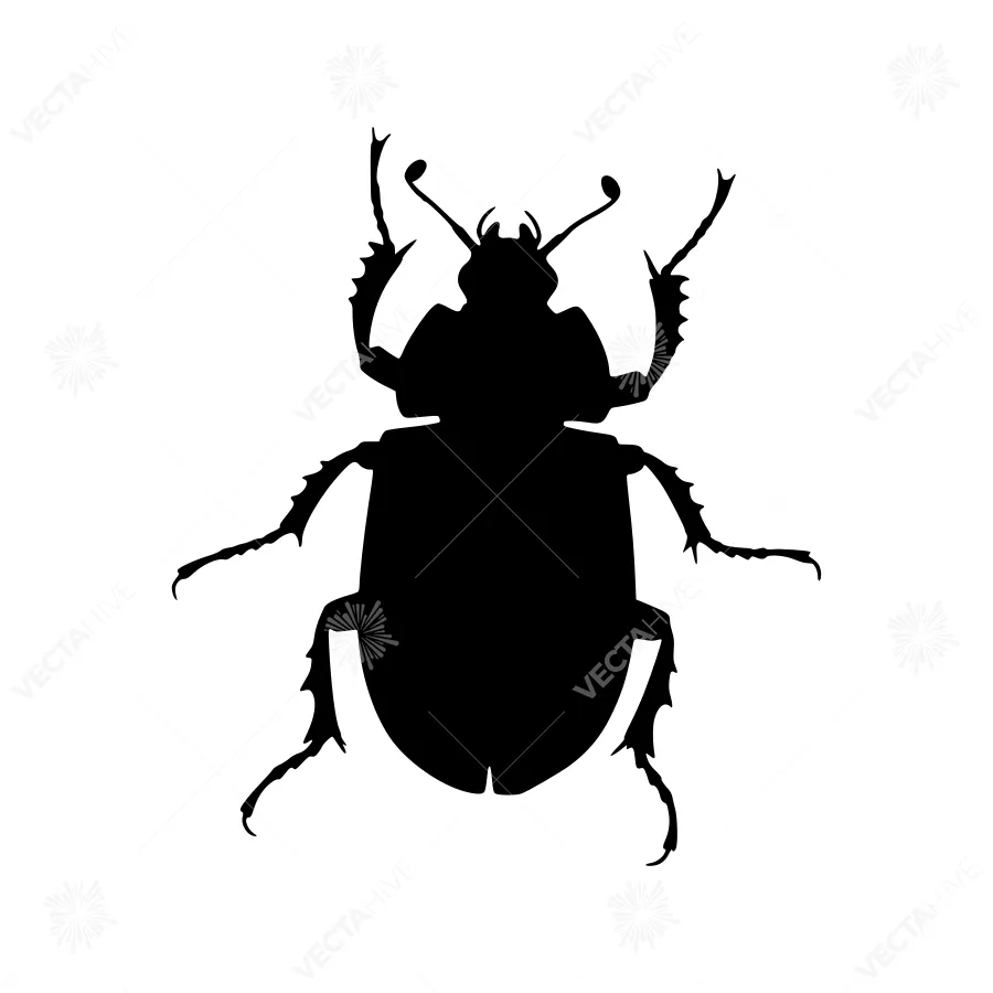 Black Beetle Silhouette - Minimalist Insect Graphic