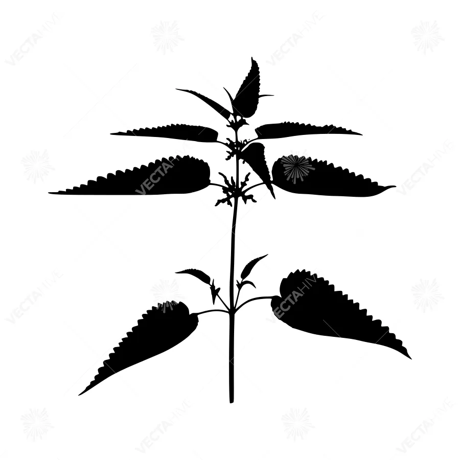 Nettle Silhouette - Minimalist Botanical Vector