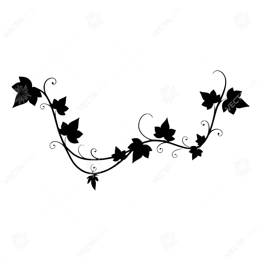 Black Ivy Vine Graphic Element