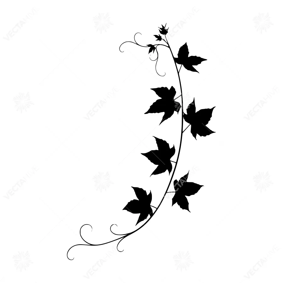 Black Maple Leaf Vine Silhouette