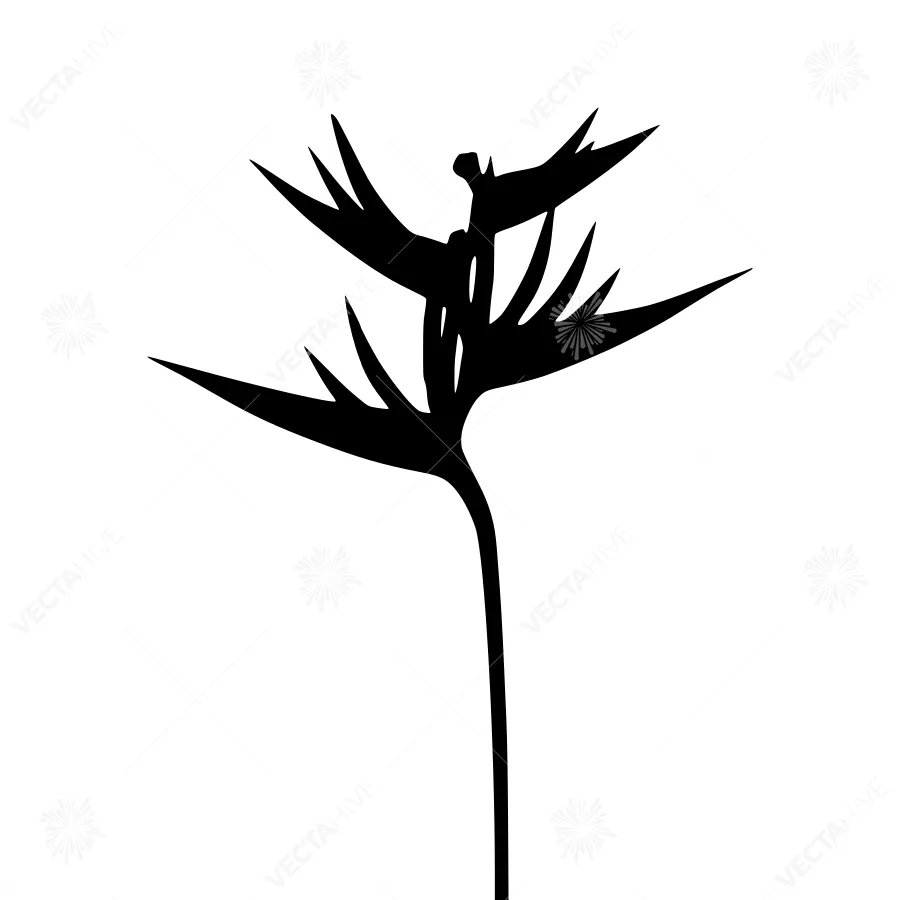Silhouette Bird on Tropical Flower