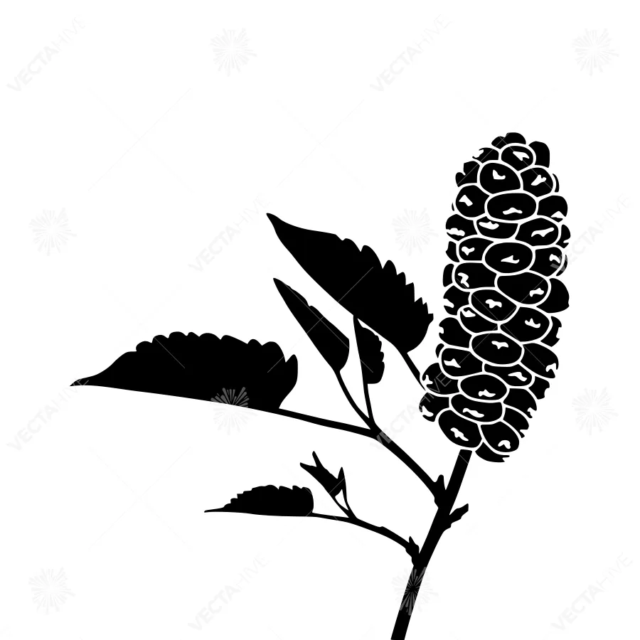 Black Silhouetted Willow Branch with Flowers