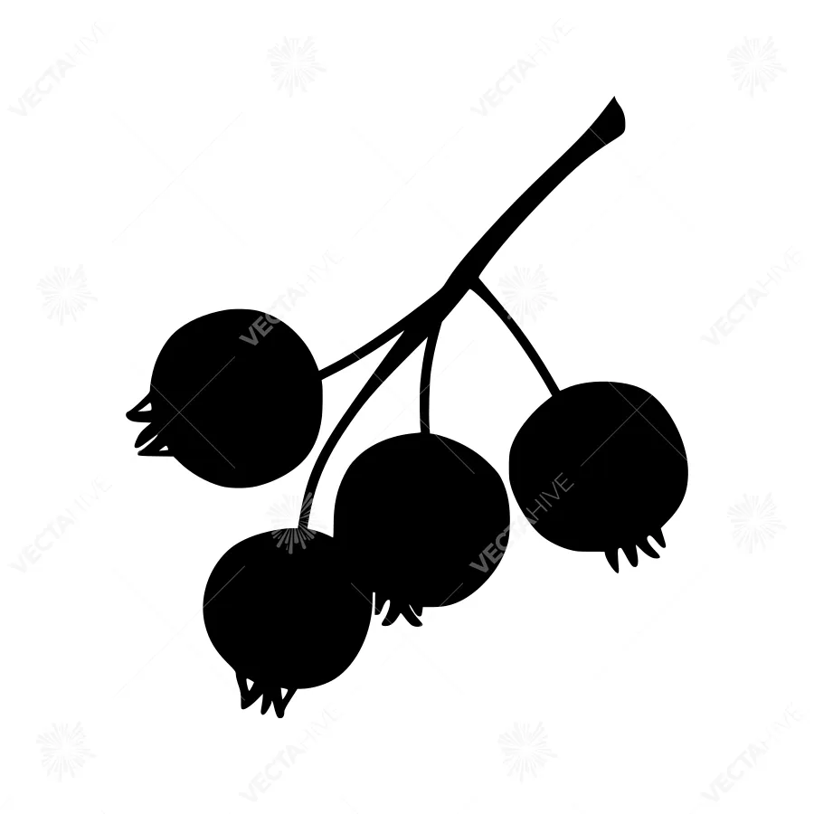 Black Berry Branch Silhouette Vector