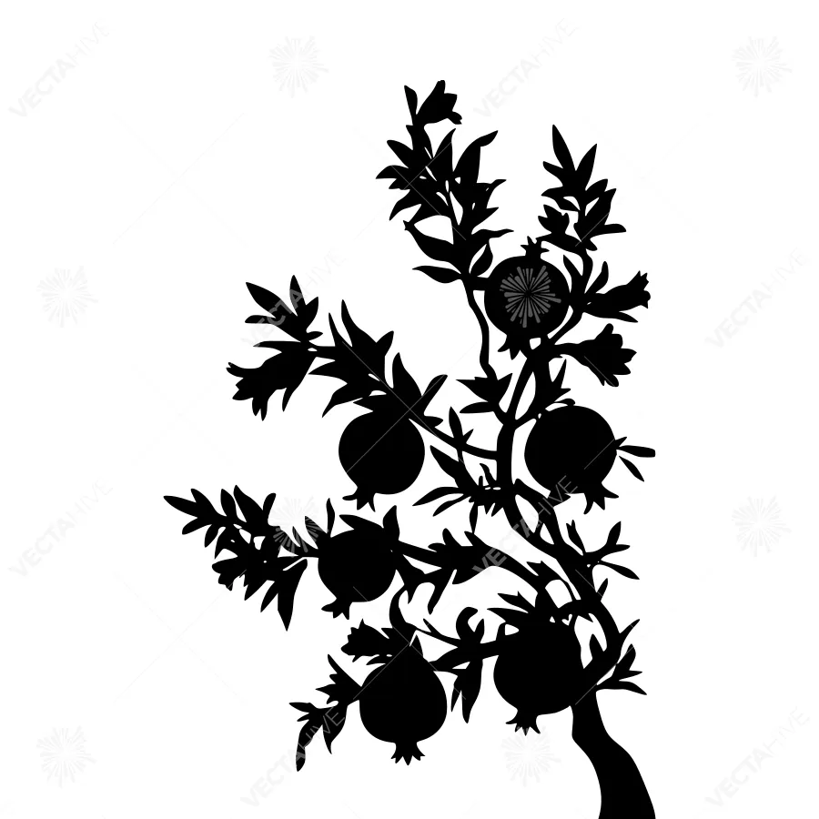 Pomegranate Tree Silhouette - Black & White Vector