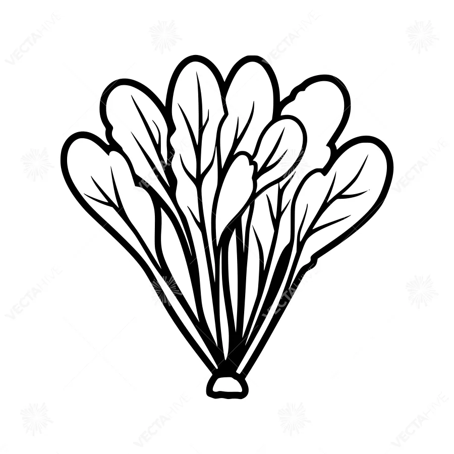 Black and White Fan Illustration
