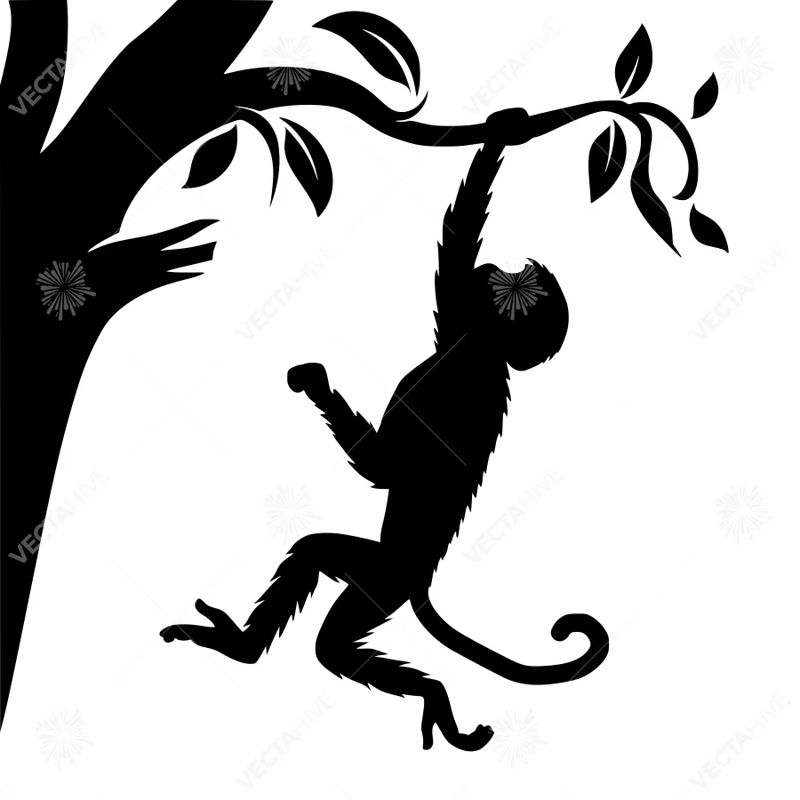 Silhouette Monkey Swinging in Tree