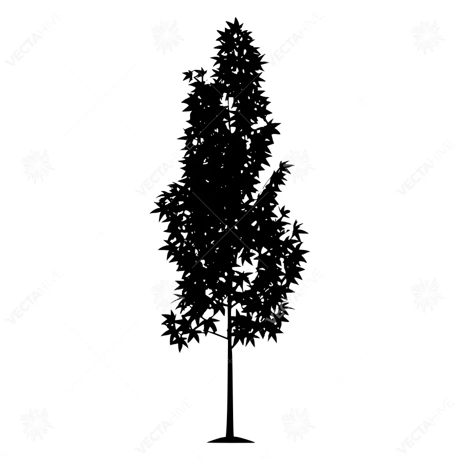 Black Tree Silhouette on White Background