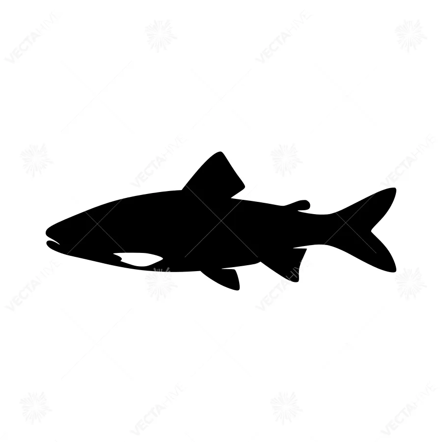 Shark Silhouette Vector Icon