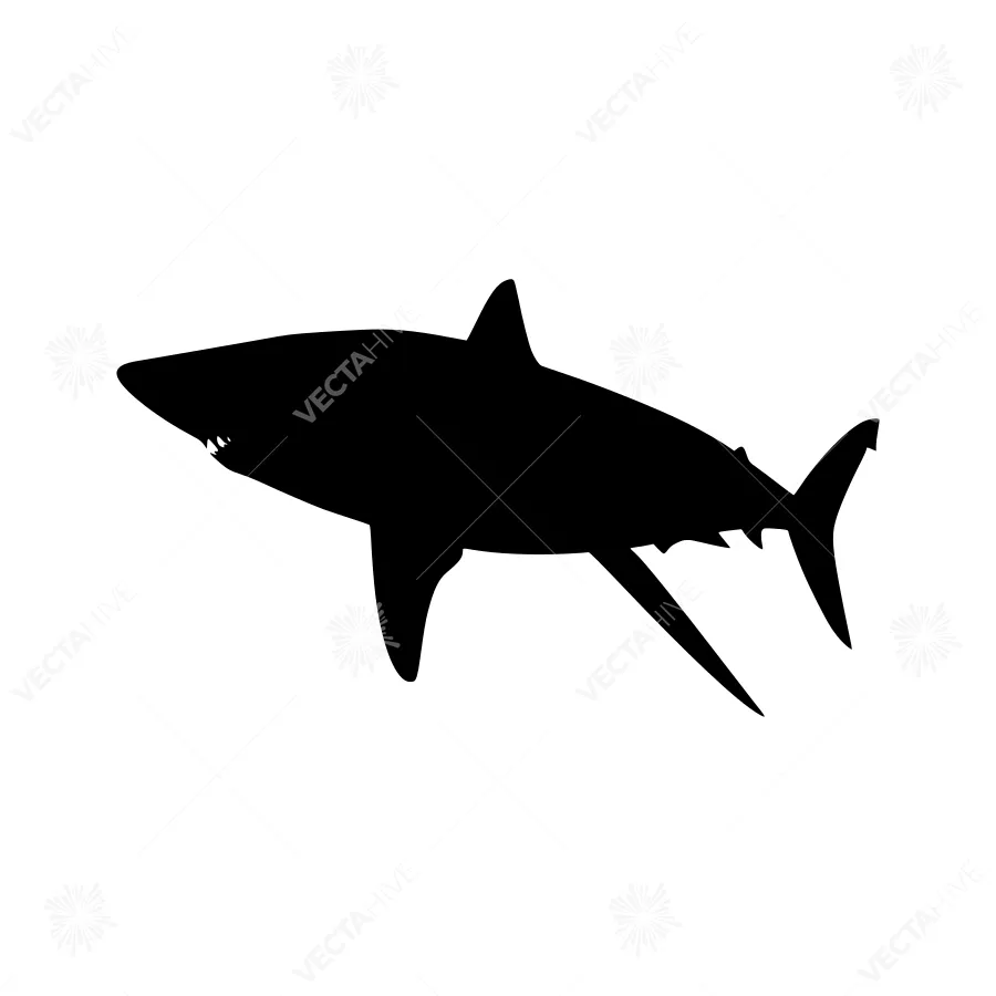 Silhouette Shark - Minimalist Ocean Graphic