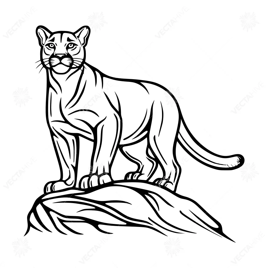 Elegant Black Silhouette Puma on Rock
