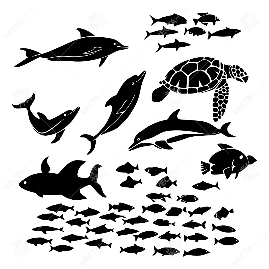 Silhouette Marine Animals - Dolphins, Turtles & Fish