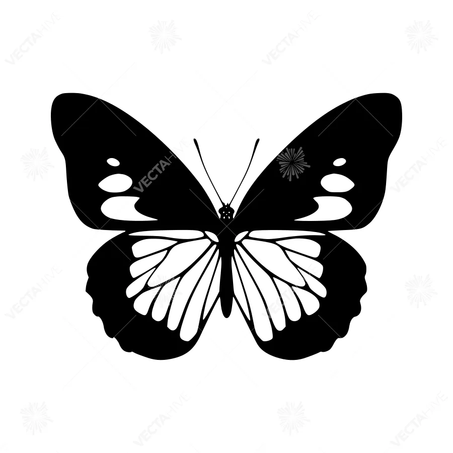 Black and White Butterfly Silhouette