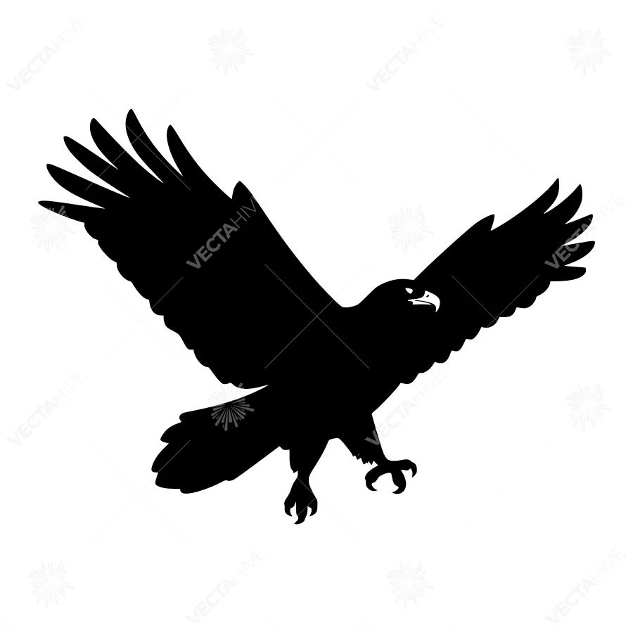 Black Eagle Silhouette Vector Graphic