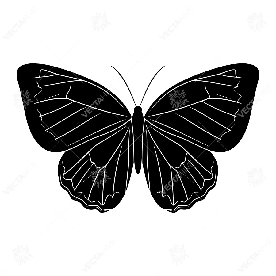 Black Butterfly Silhouette Vector Illustration