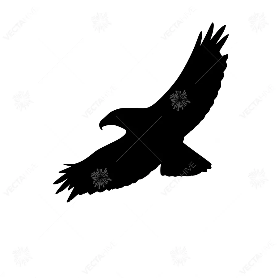 Black Eagle Silhouette - Flying Bird Graphic