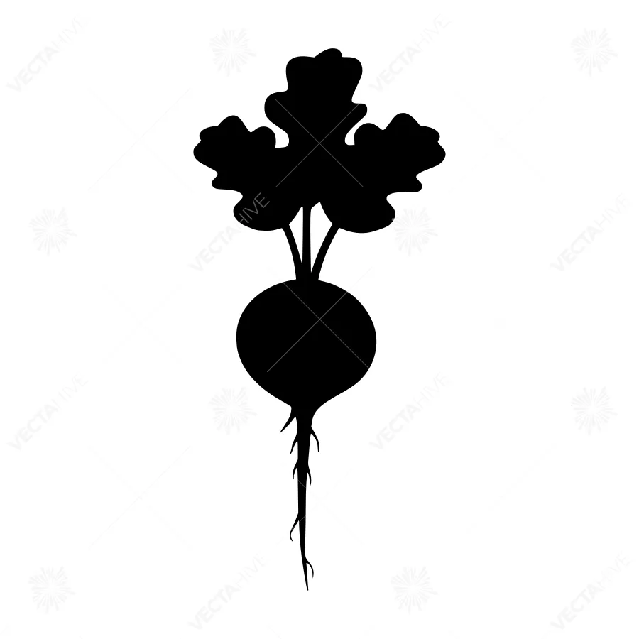 Black Radish Silhouette Vector Illustration
