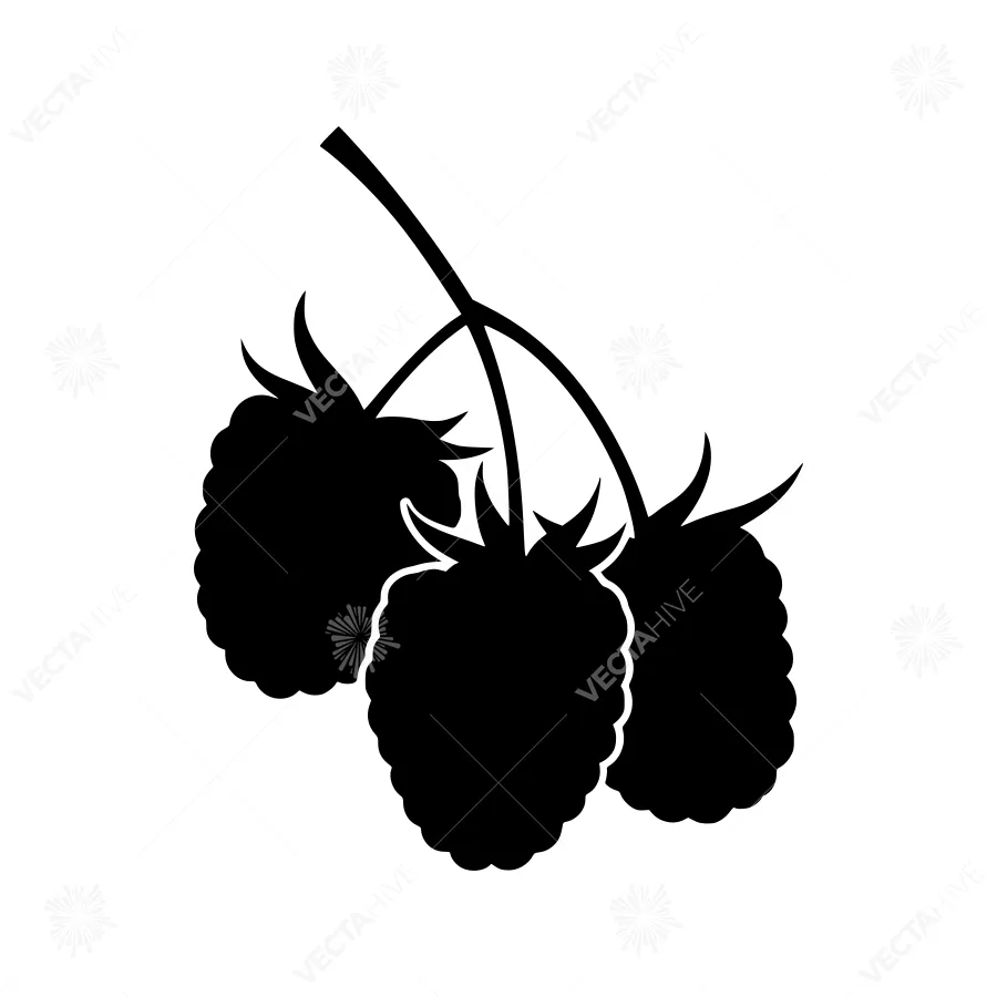 Black Raspberry Silhouette Vector Illustration