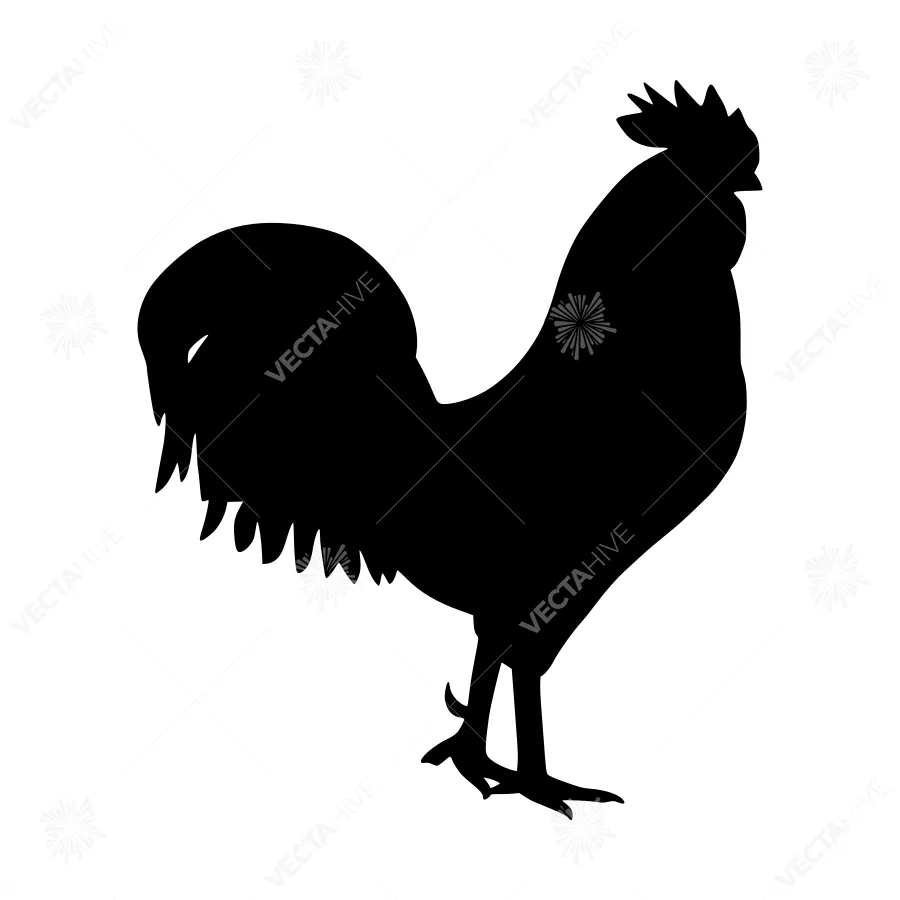 Black Rooster Silhouette Vector Illustration