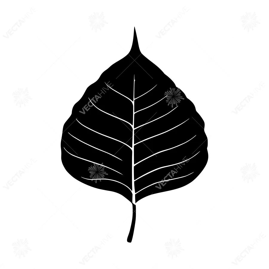 Black Leaf Silhouette on White Background