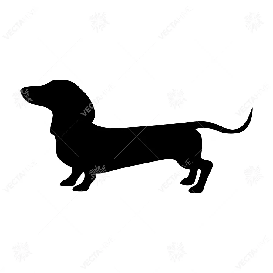 Dachshund Silhouette Vector Illustration