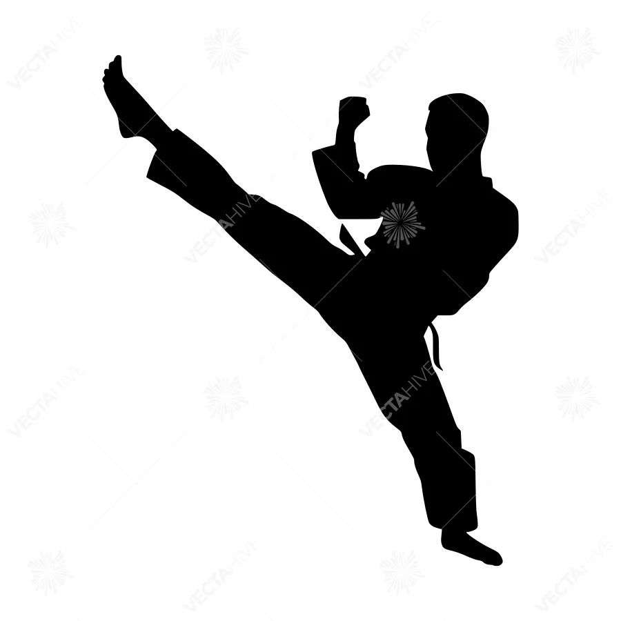Black Silhouette Martial Arts Kick