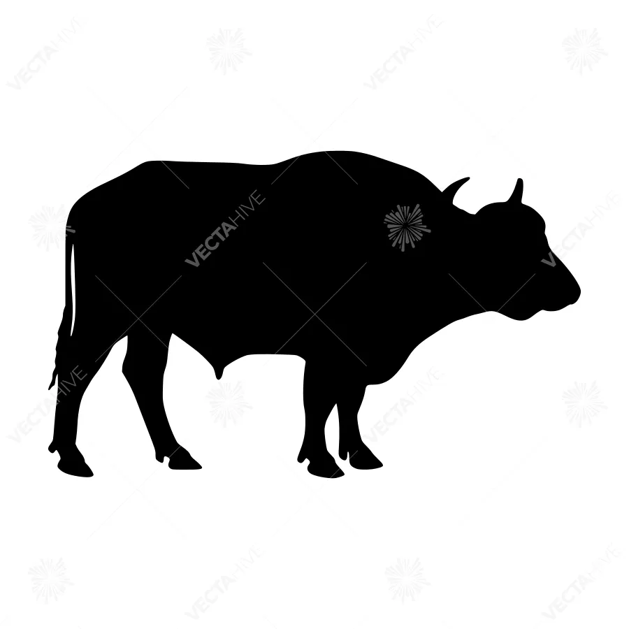 Black Bull Silhouette Vector Illustration
