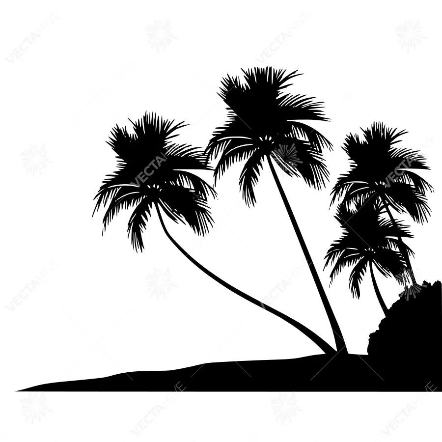 Palm Tree Silhouette Tropical Landscape