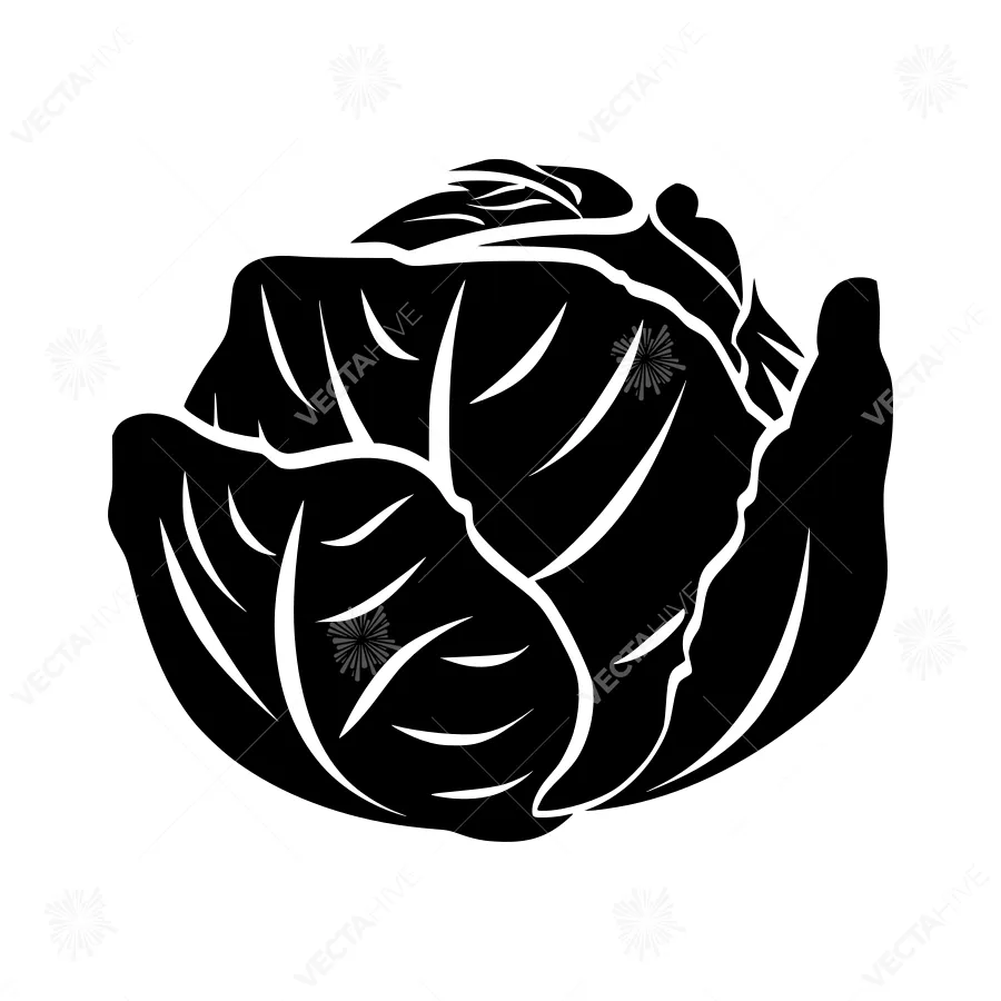 Black Cabbage Silhouette Vector Illustration