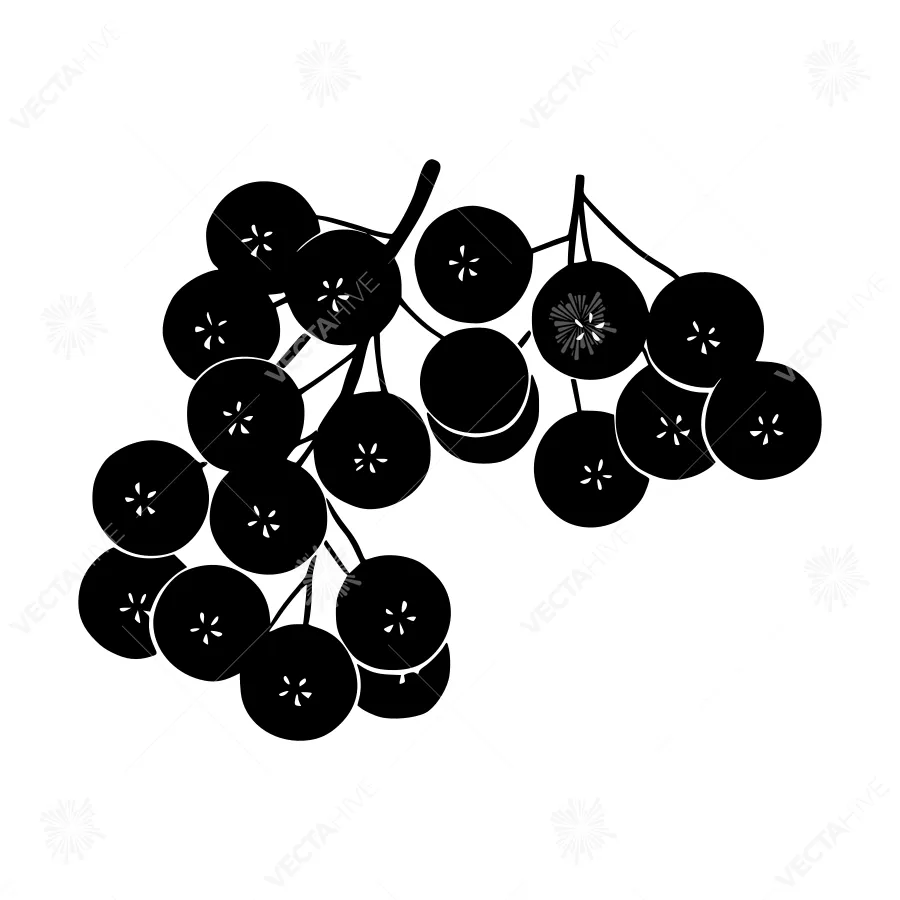 Black Berry Cluster Silhouette Vector Illustration