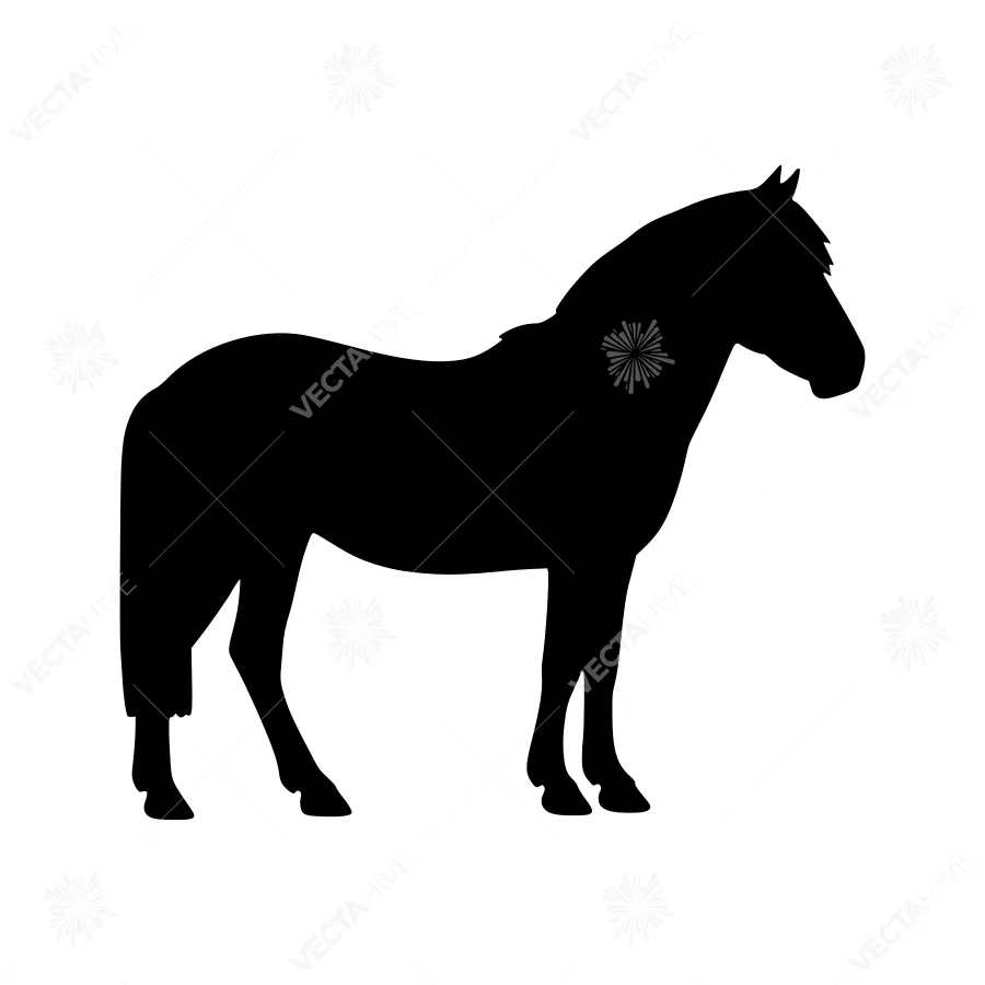 Black Horse Silhouette Vector Graphic