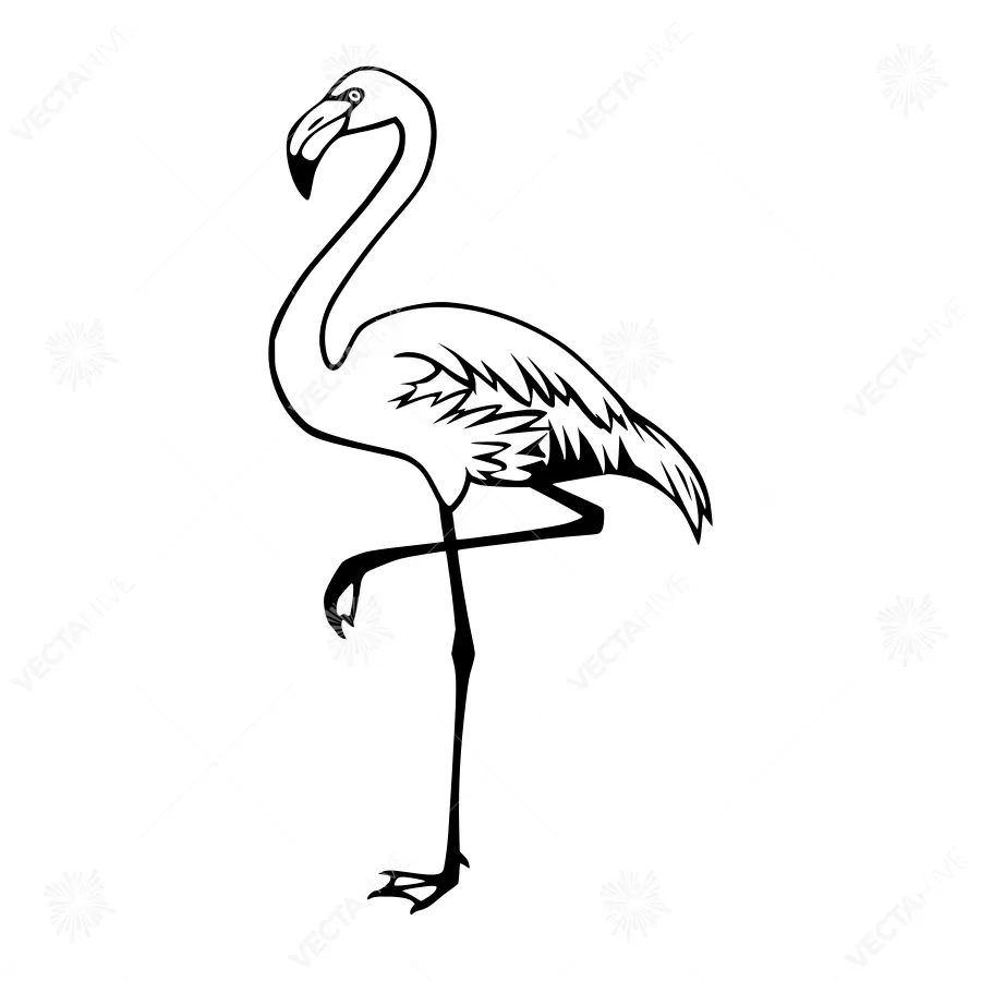 Black and White Flamingo Illustration