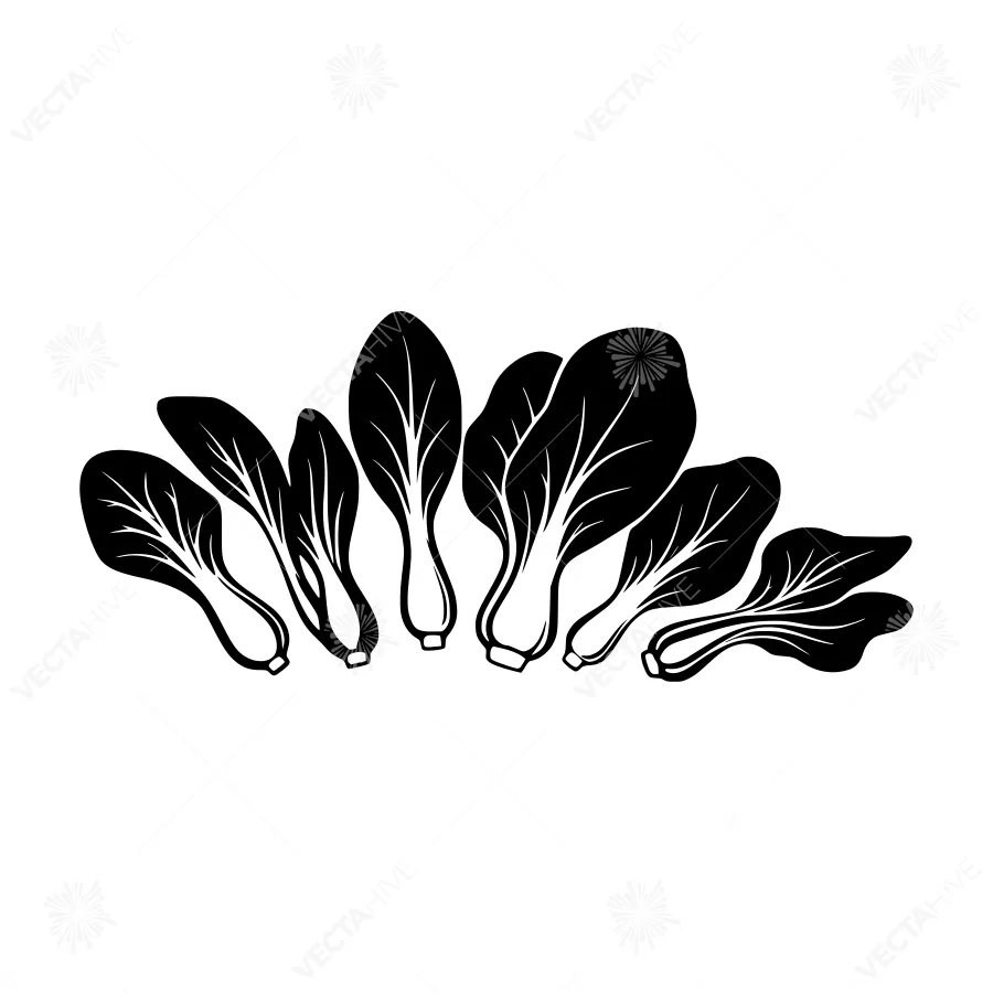 Black & White Bok Choy Vegetable Illustration