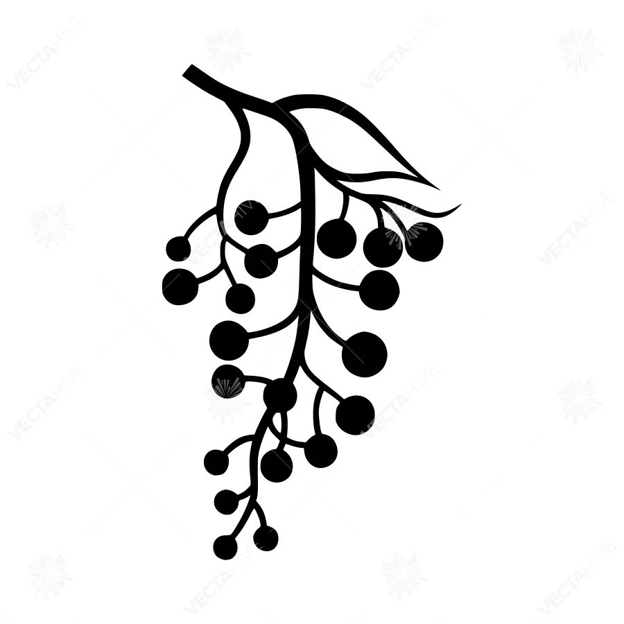 Black Grape Vine Icon - Simple Graphic