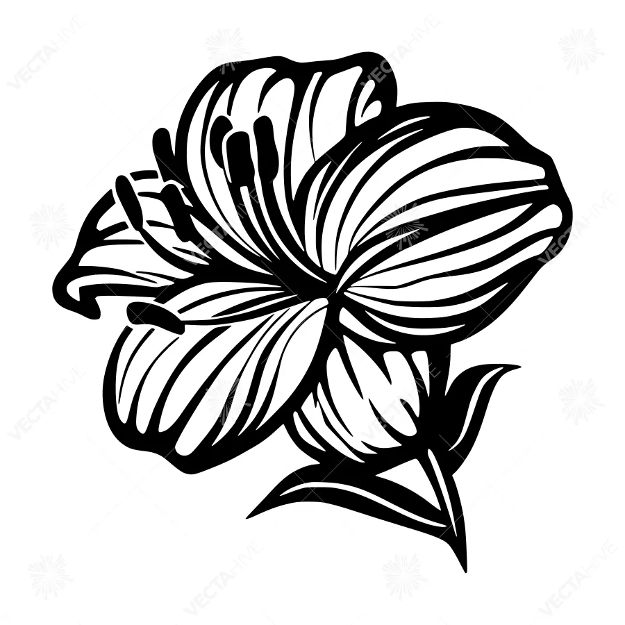 Black Flower Silhouette Vector Illustration