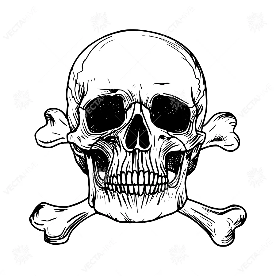Skull and Crossbones - Vintage Illustration