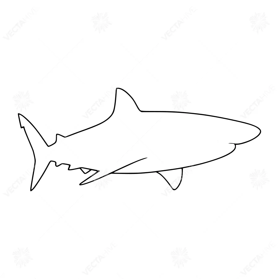 Minimalist Shark Outline - Line Art Illustration