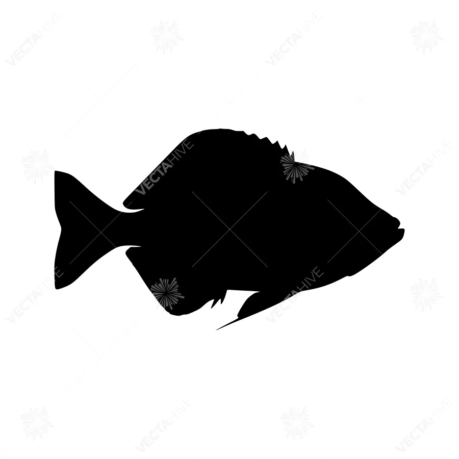 Black Fish Silhouette Vector Illustration