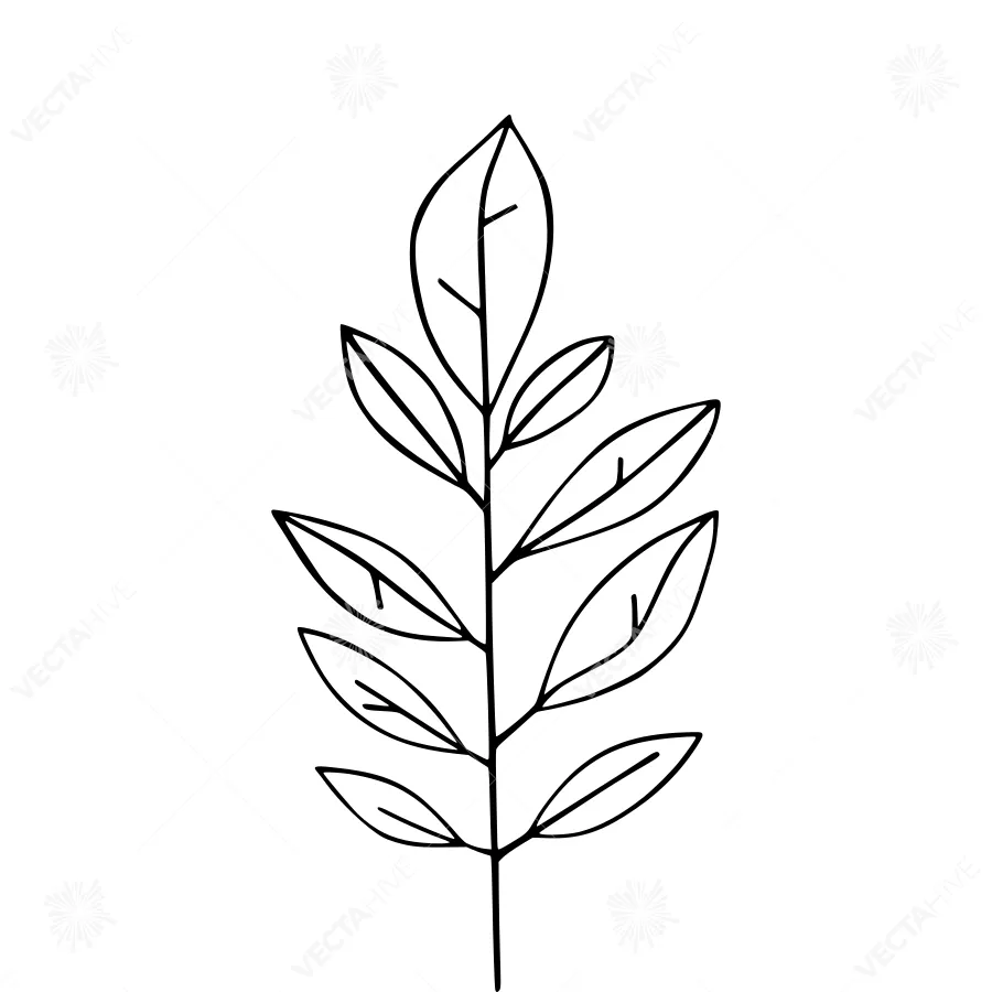 Hand-Drawn Leaf Illustration - Minimalist Line Art