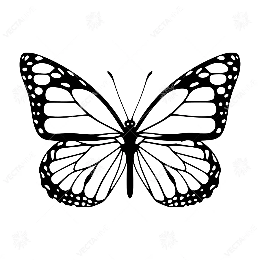 Black & White Butterfly Silhouette Vector