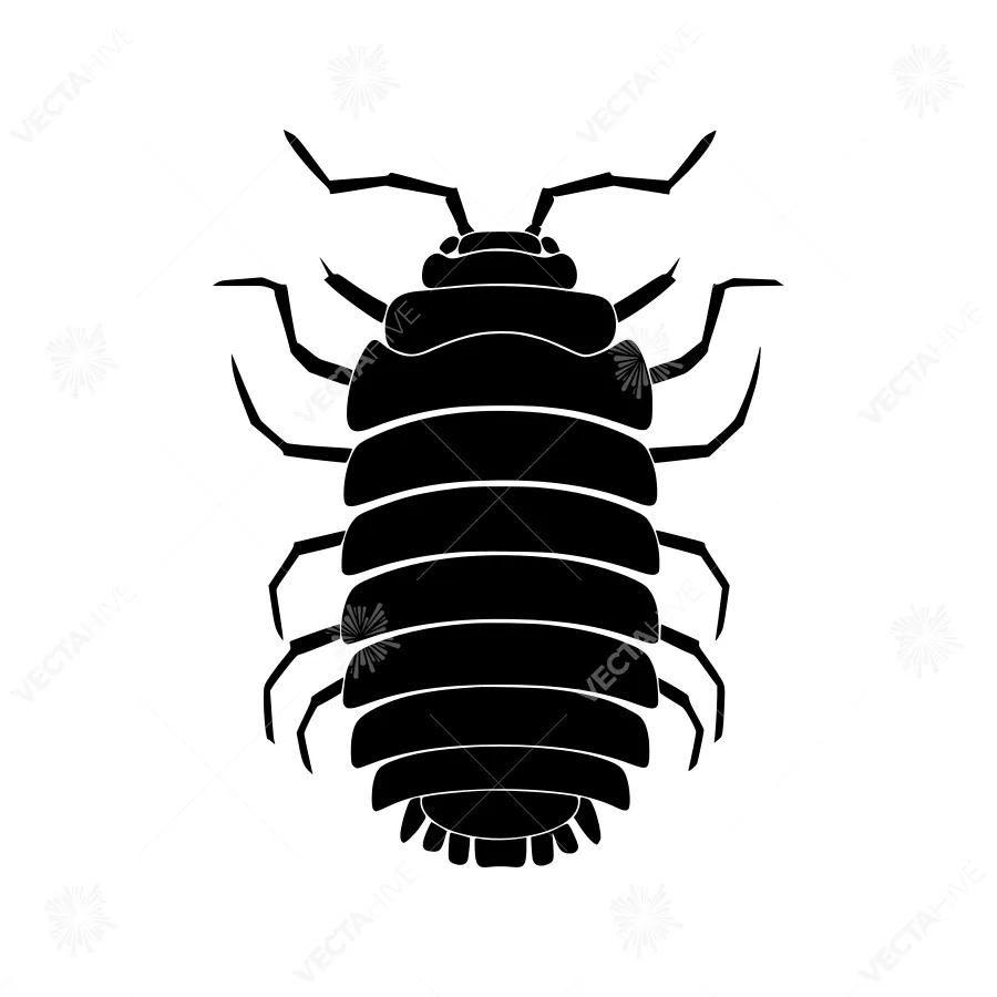 Black Pill Bug Silhouette Icon