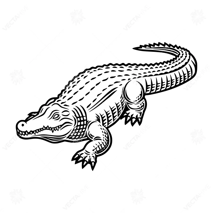 Vintage Crocodile Illustration - Black & White
