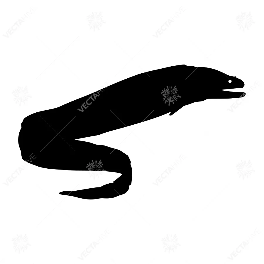 Black Eel Silhouette Vector Illustration