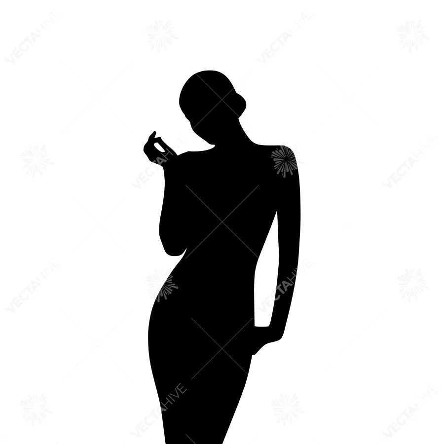 Silhouette Woman Fashion Portrait