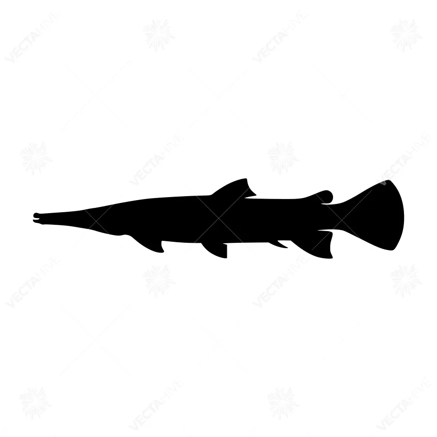 Silhouetted Wels Catfish Vector Illustration