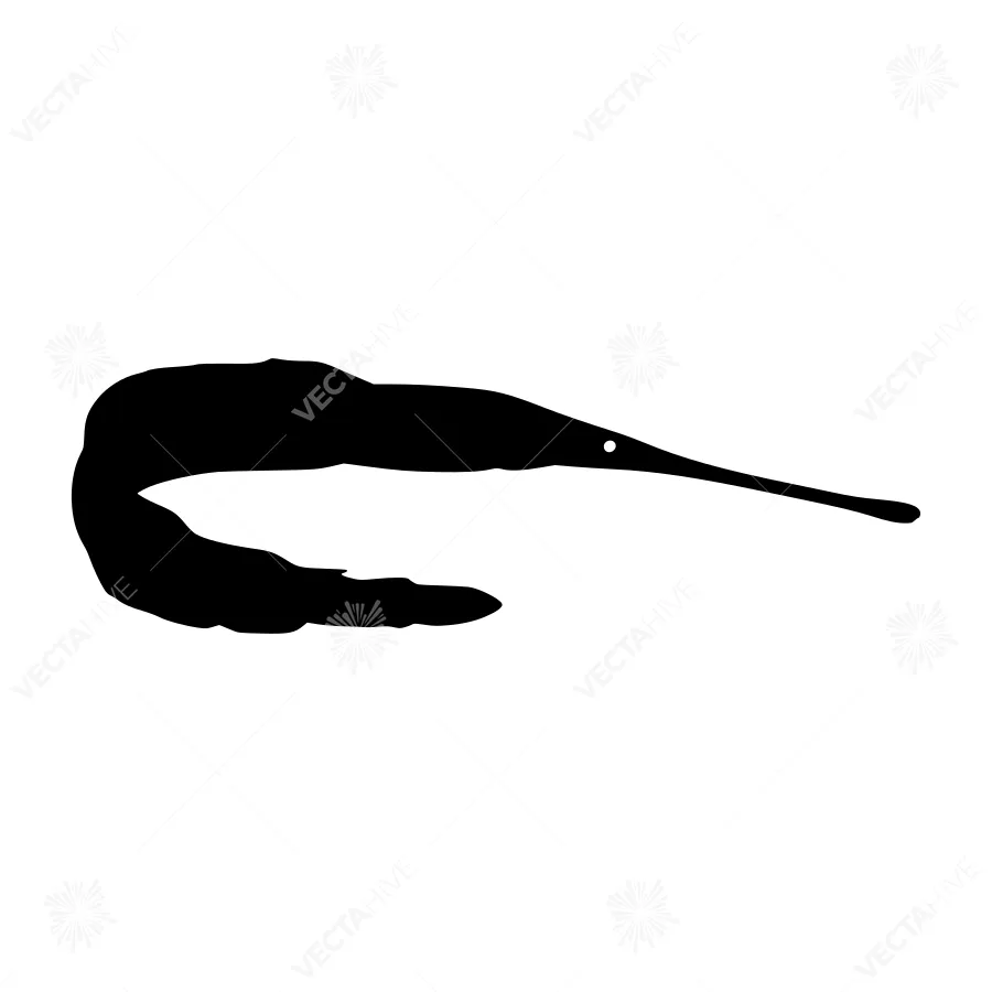 Elegant Eel Silhouette Vector Illustration