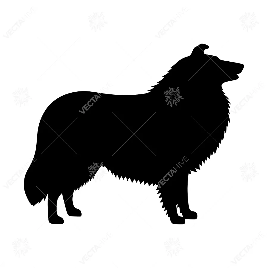 Silhouette Dog Collie - Black Animal Vector