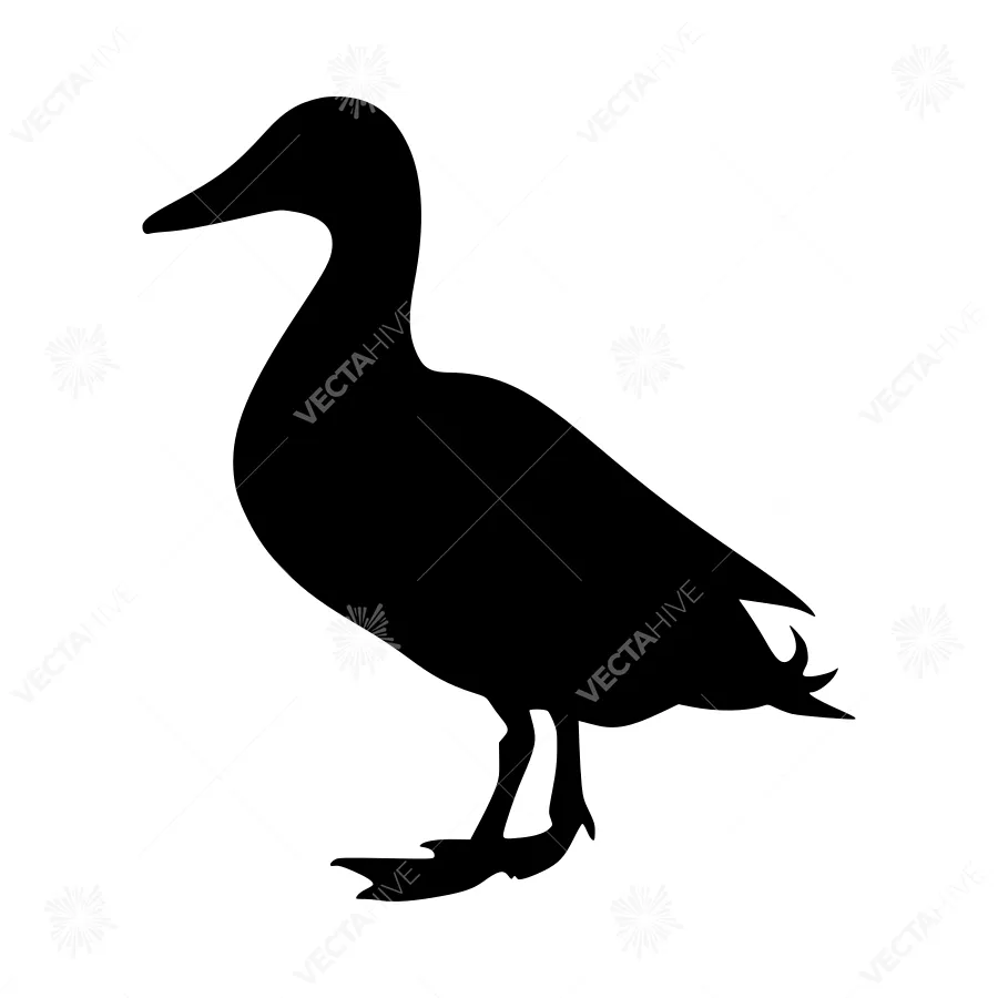 Black Duck Silhouette Vector Illustration